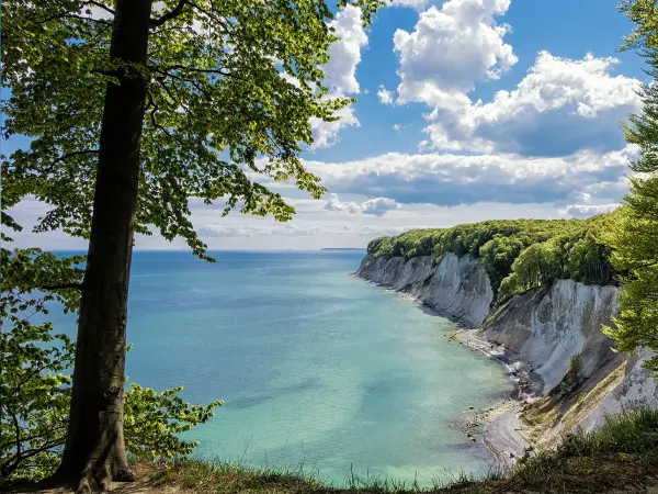 Rügen & Kreidefelsen